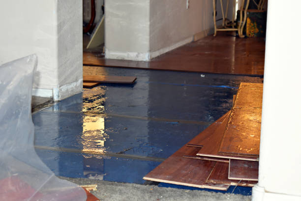 Professional Burst Pipe Cleanup technician working in Harrison Township, MI