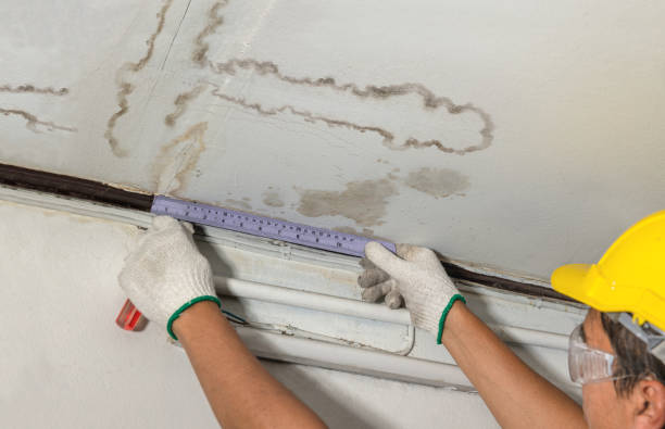 Reliable Burst Pipe Cleanup contractor in Harrison Township, MI by Water Damage Irwin